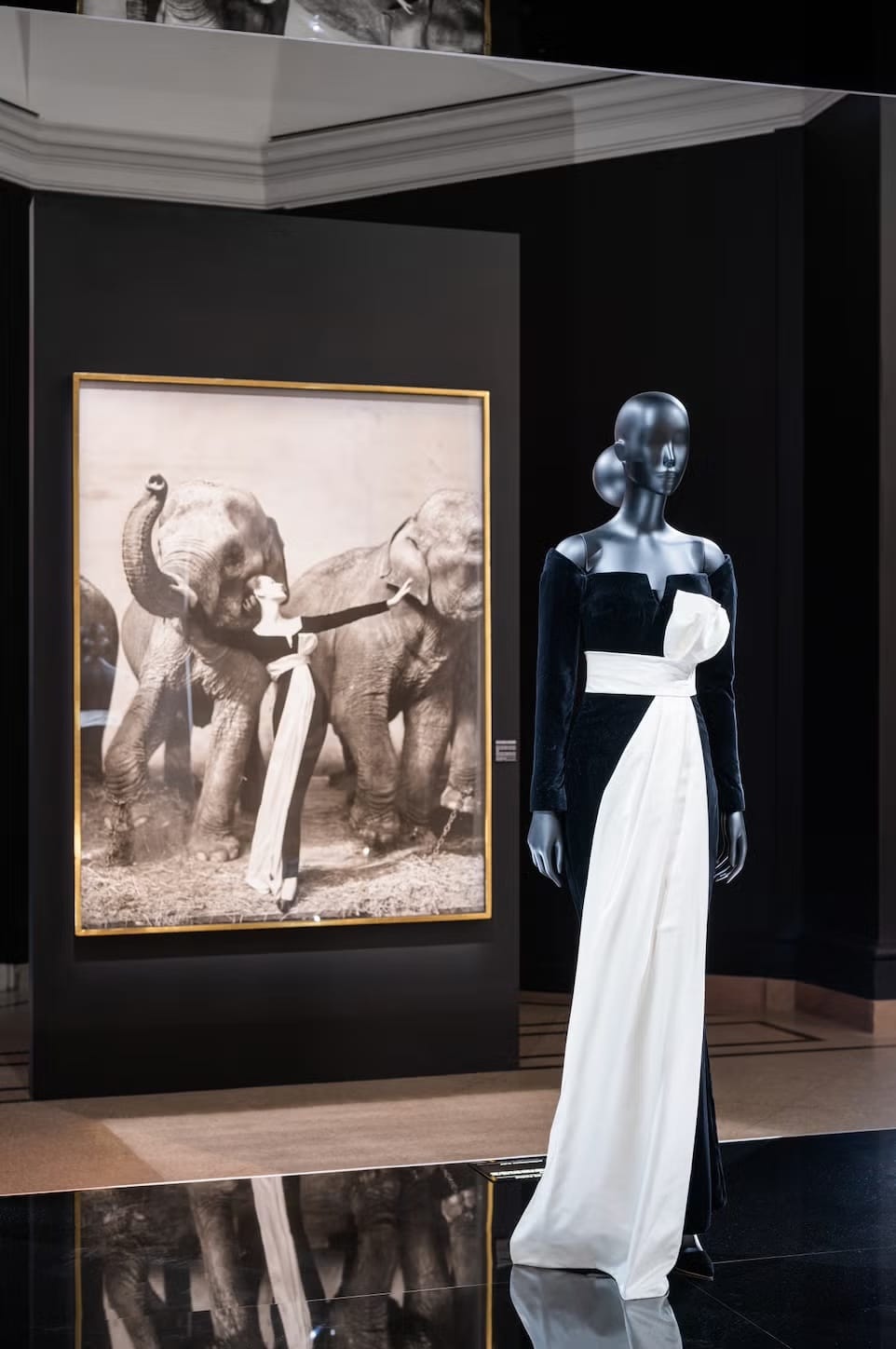 Photo of Richard Avedon's Dovima and the Elephants image at the Christian Dior: Designer of Dreams exhibit at Brooklyn Museum