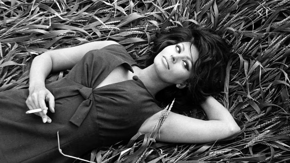 Actress Sophia Loren lying in a wheat field wearing a dress and holding a cigarette